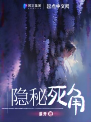 隐秘死角起点