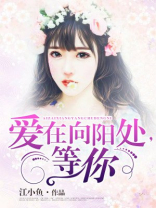 爱在向阳处,等你 第169章